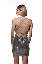 Alyce Paris Dress 4810 Alyce Paris Dress 4810