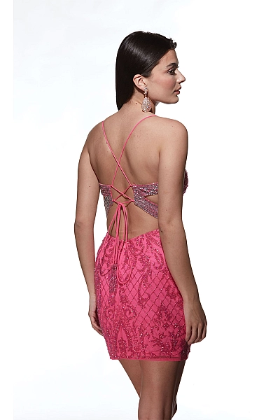 Alyce Paris Dress 4842 Alyce Paris Dress 4842