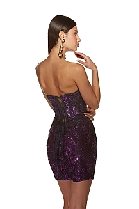 Alyce Paris Dress 4858