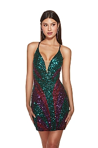 Alyce Paris Dress 4884