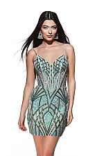 Alyce Paris Dress 4895 Alyce Paris Dress 4895