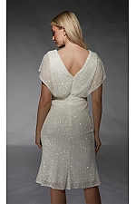 Alyce Paris Dress 70063