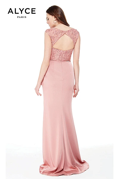Alyce Paris Dress 27024