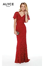 Alyce Paris Dress 27025