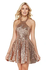 Alyce Paris Dress 4056