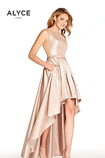 Alyce Paris Dress 60124
