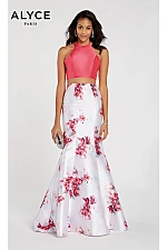 Alyce Paris Dress 60430