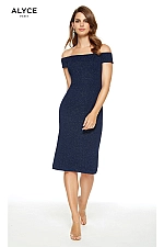 Alyce Paris Dress 27343