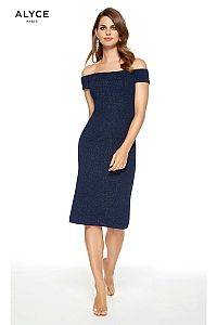 Alyce Paris Dress 27343