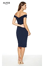 Alyce Paris Dress 27343
