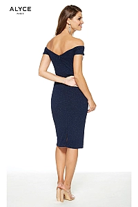 Alyce Paris Dress 27343