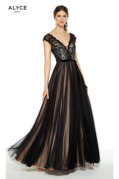 Alyce Paris Dress 27398