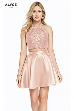 Alyce Paris Dress 3823