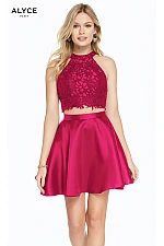 Alyce Paris Dress 3823