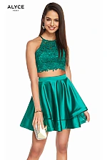 Alyce Paris Dress 3825
