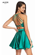 Alyce Paris Dress 3825