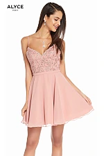 Alyce Paris Dress 3833