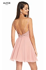 Alyce Paris Dress 3833