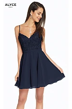 Alyce Paris Dress 3833