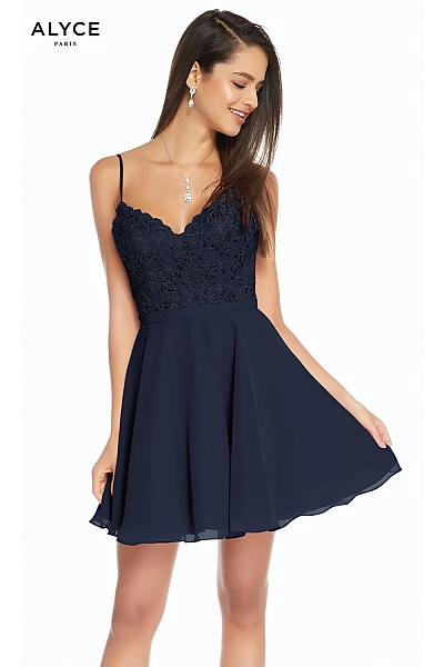 Alyce Paris Dress 3833