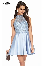 Alyce Paris Dress 3847