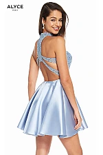 Alyce Paris Dress 3847
