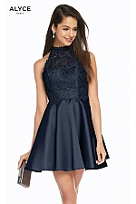 Alyce Paris Dress 3847