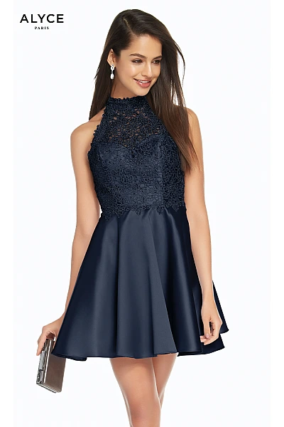 Alyce Paris Dress 3847