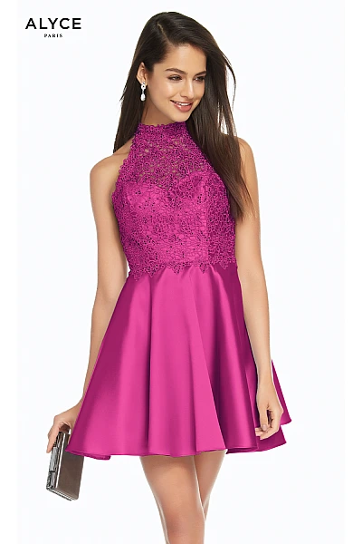 Alyce Paris Dress 3847
