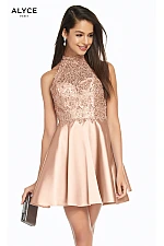 Alyce Paris Dress 3847