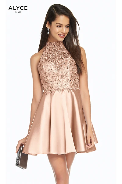 Alyce Paris Dress 3847
