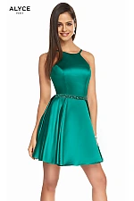 Alyce Paris Dress 3878
