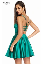 Alyce Paris Dress 3878