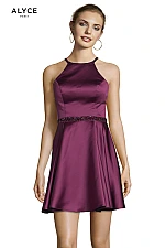 Alyce Paris Dress 3878