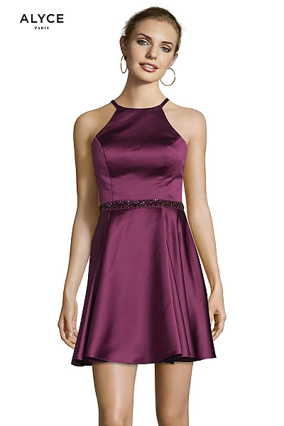 Alyce Paris Dress 3878
