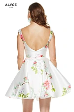 Alyce Paris Dress 3921