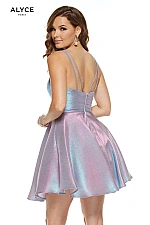 Alyce Paris Dress 3923