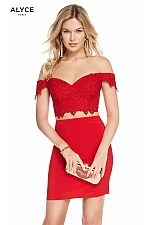 Alyce Paris Dress 4132