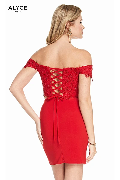 Alyce Paris Dress 4132