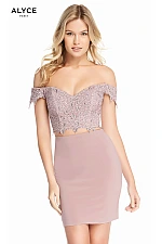 Alyce Paris Dress 4132