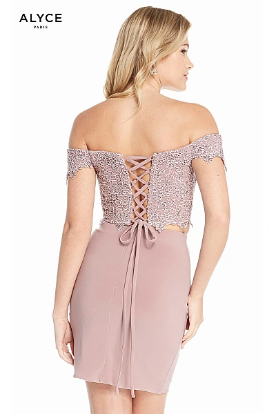 Alyce Paris Dress 4132
