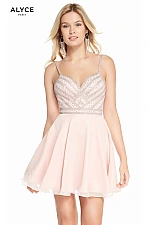 Alyce Paris Dress 4150