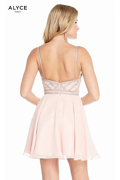 Alyce Paris Dress 4150