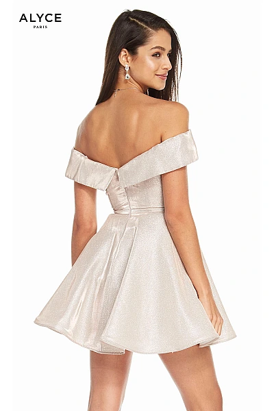 Alyce Paris Dress 4184