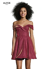 Alyce Paris Dress 4184