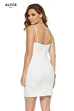 Alyce Paris Dress 4224