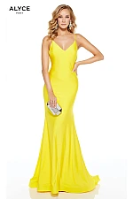 Alyce Paris Dress 60773