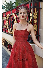 Alyce Paris Dress 60883