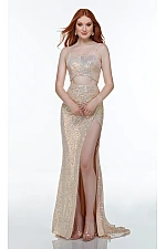 Alyce Paris Dress 61209