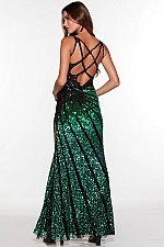 Alyce Paris Dress 61365